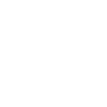 Mira_Transportes_branco