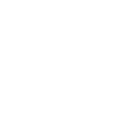 braspress-logo-branco
