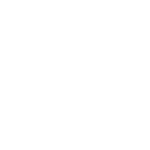jb_transporte-branco