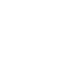 logo_rapidao-branco